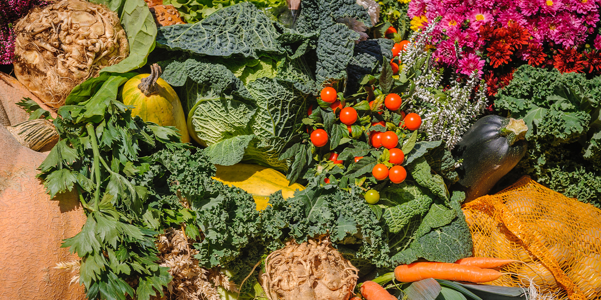 sustainable food system, harvest season, plantbased