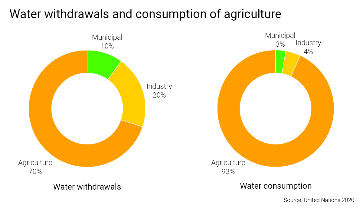 Water withdrawals and consumption of agriculture