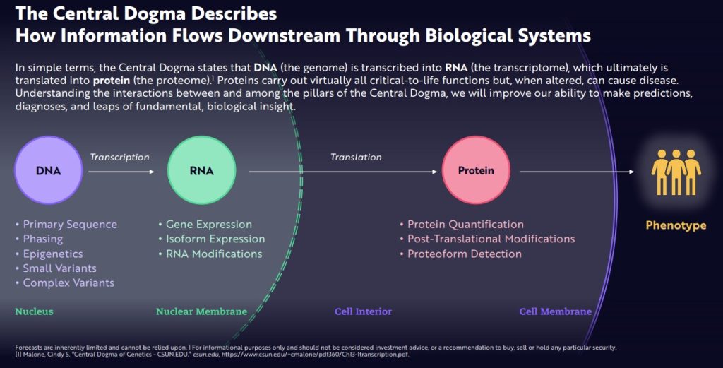 The central dogma describes how information flows downstream through biological systems