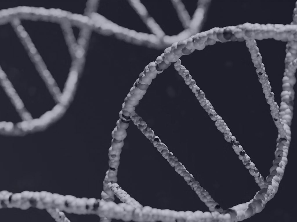 Gene Editing Report