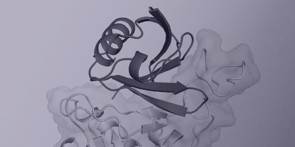 Article illustration image