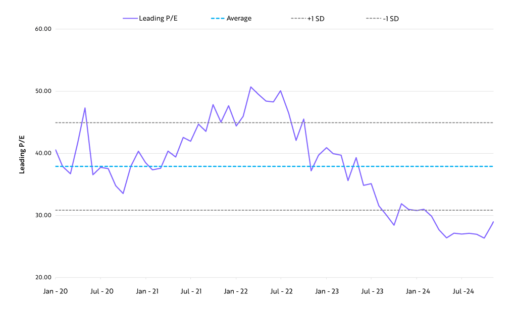 RIZE Cybersecurity P/E