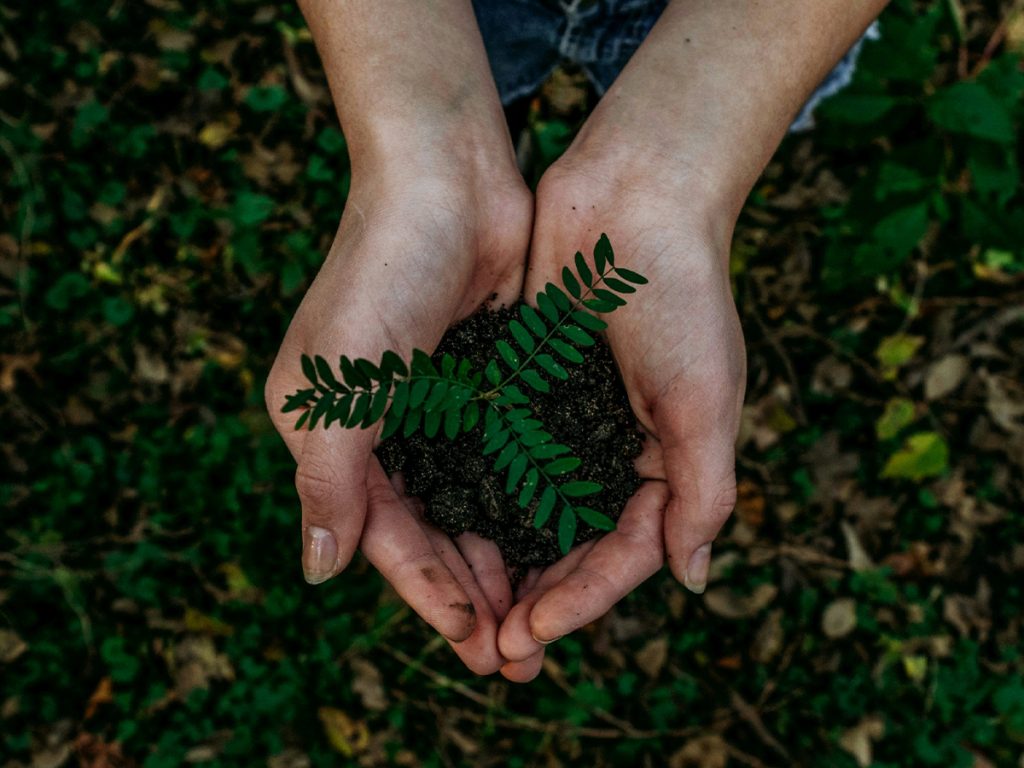Sustainability2025 outlook