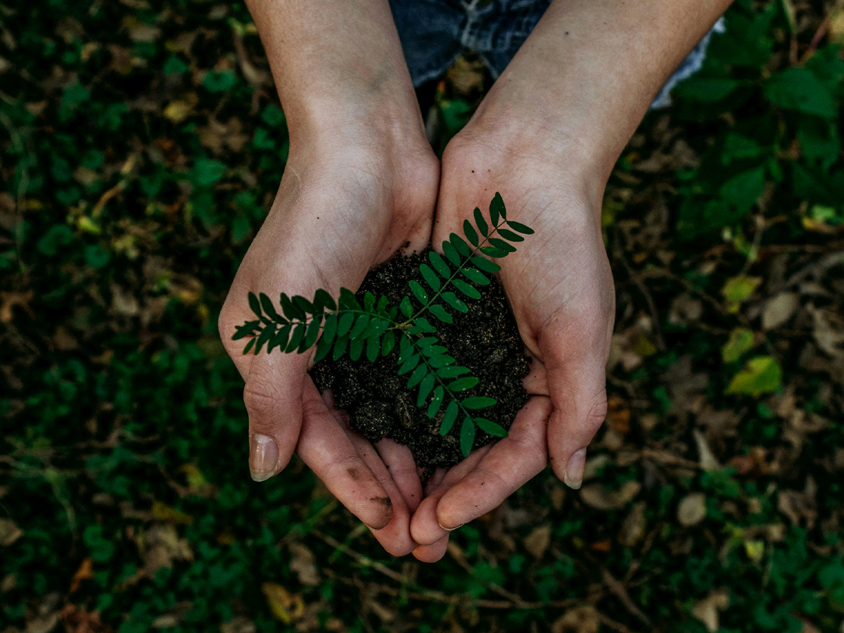 Sustainability2025 outlook